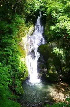 梅の木轟の滝 に対する画像結果
