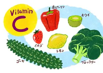 ビタミンc 食べ物 に対する画像結果