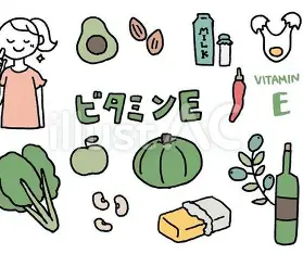 ビタミンe 食べ物 に対する画像結果