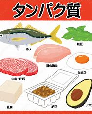タンパク質 食べ物 に対する画像結果
