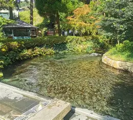 白川水源 10月 に対する画像結果