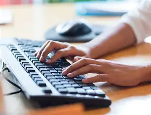 データ入力 に対する画像結果