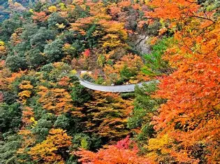 五家荘 10月 に対する画像結果